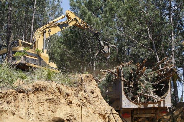 La primera denuncia contra el proyecto se presentó por una tala de árboles.