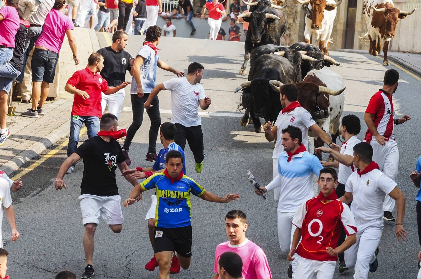  2,36 minutos ha tardado la manada en regresar al coso taurino, en una carrera que ha destacado por su rapidez, especialmente en la ida