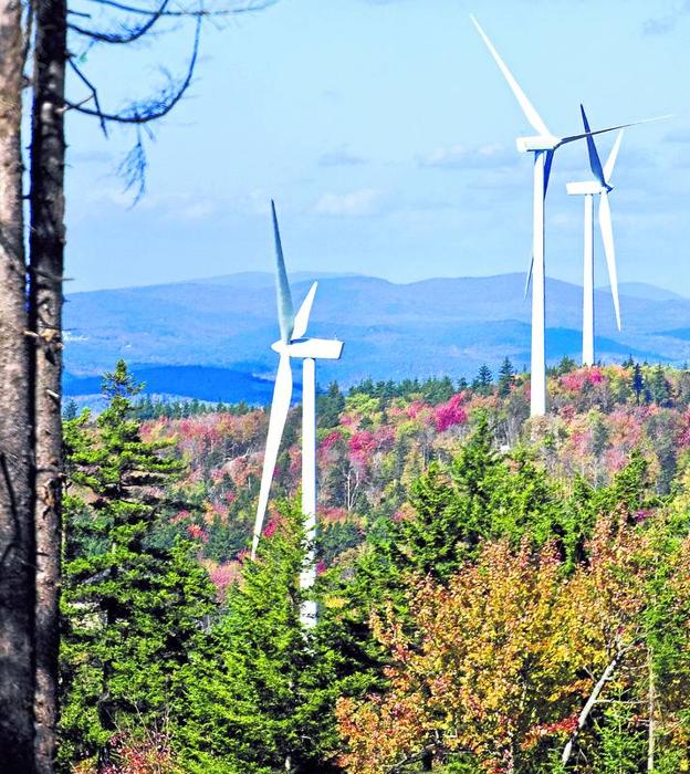 Molinos eólicos se erigen entre los árboles de un bosque. 