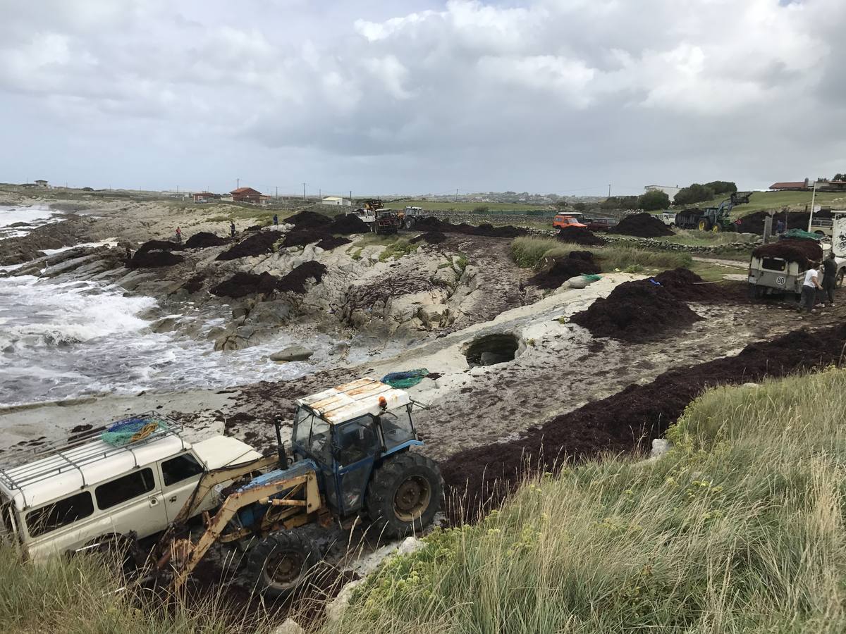 La caloca inunda la costa