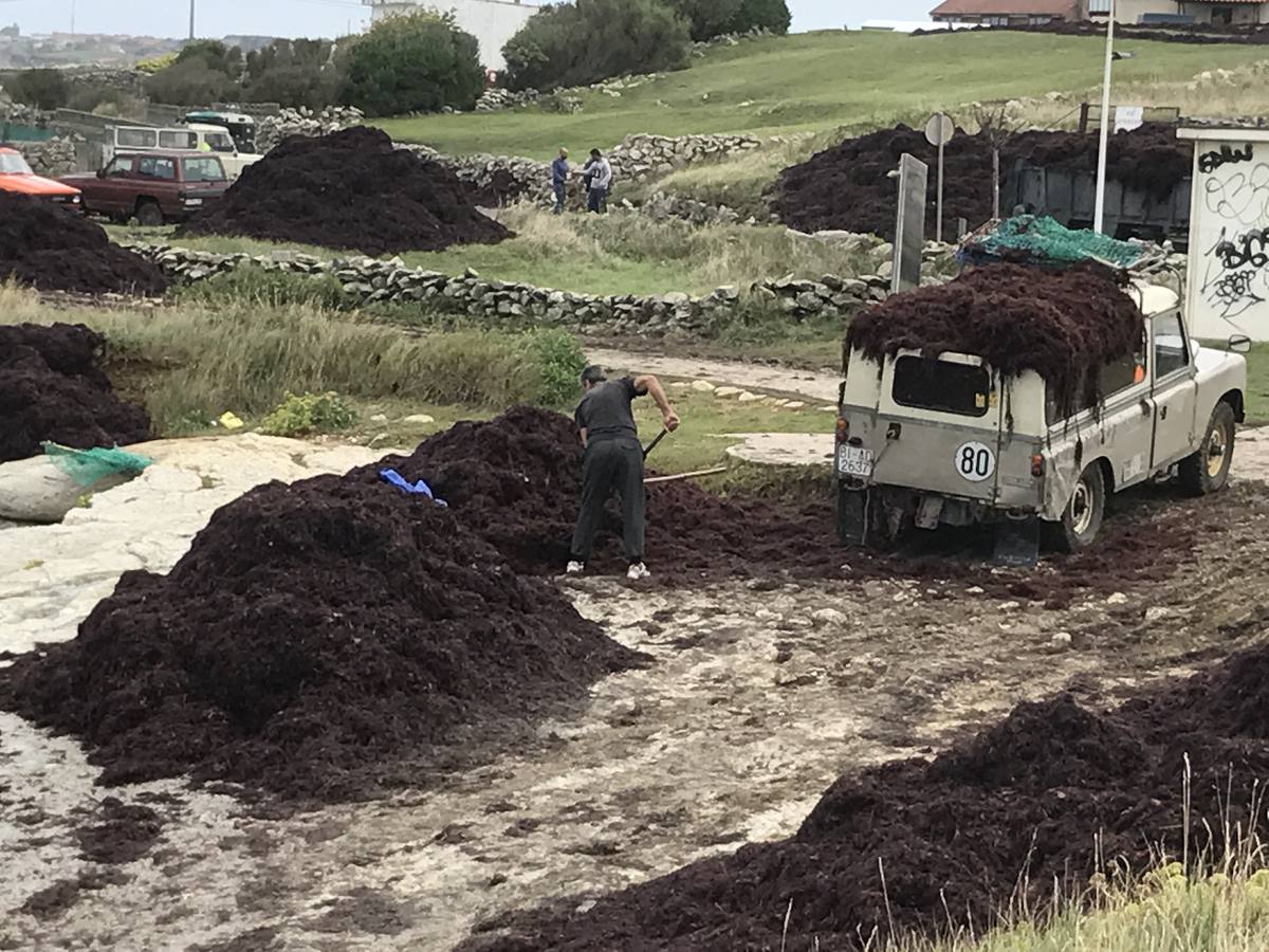 La caloca inunda la costa