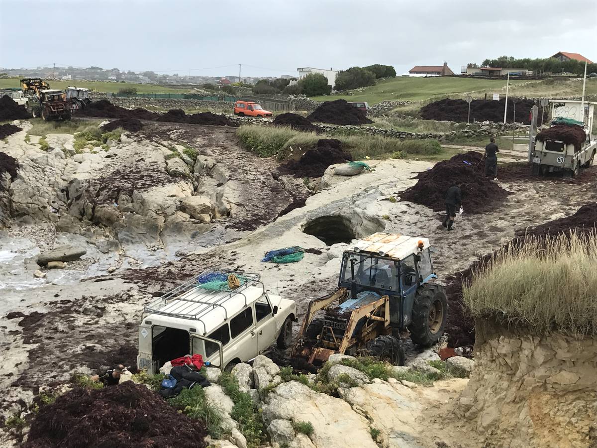 La caloca inunda la costa