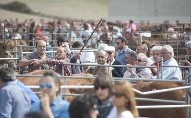 Visitantes y ganaderos en la Feria de ganado de San Mateo.