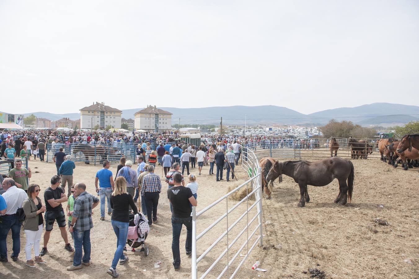 Feria de San Mateo