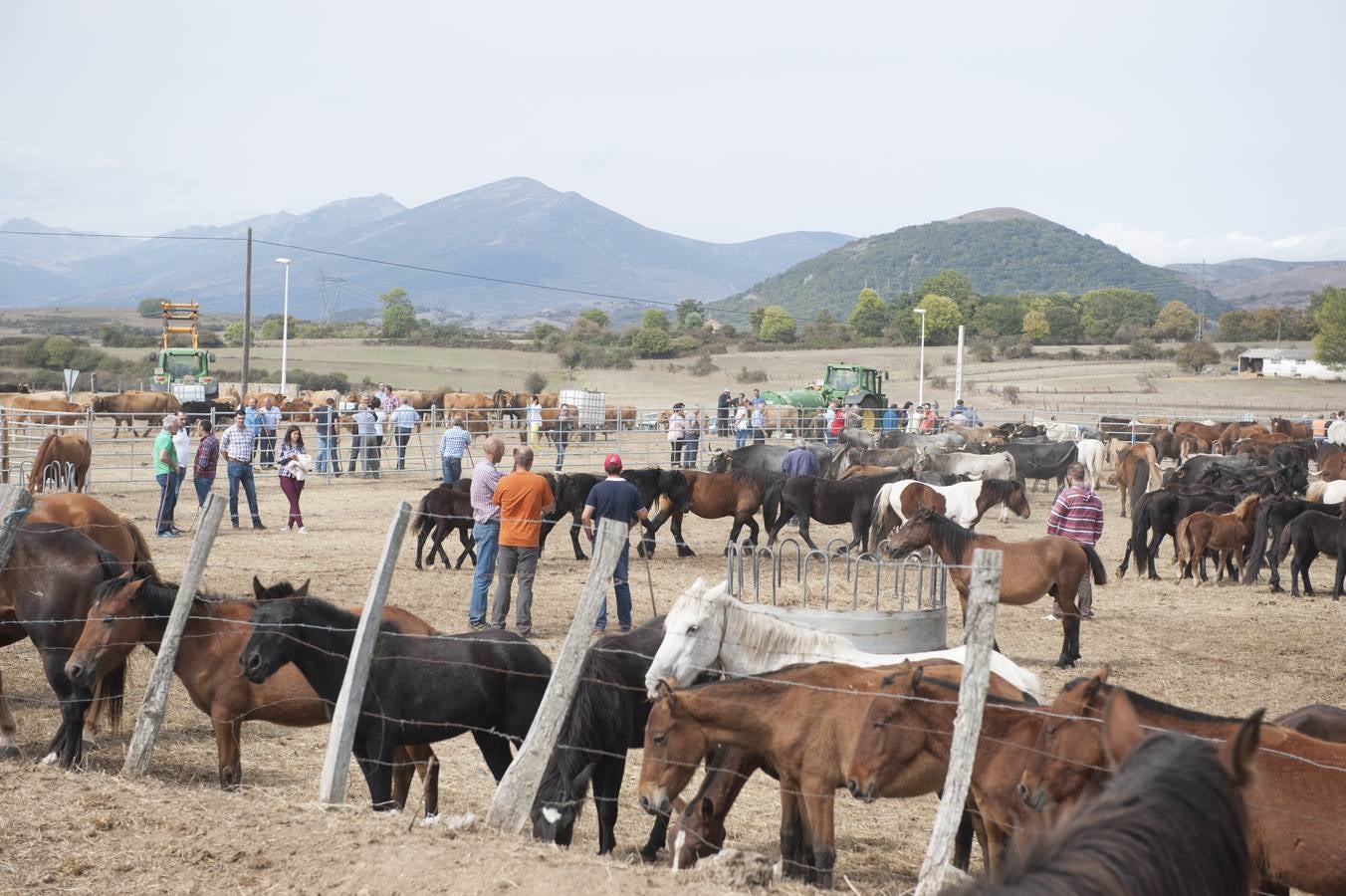 Feria de San Mateo