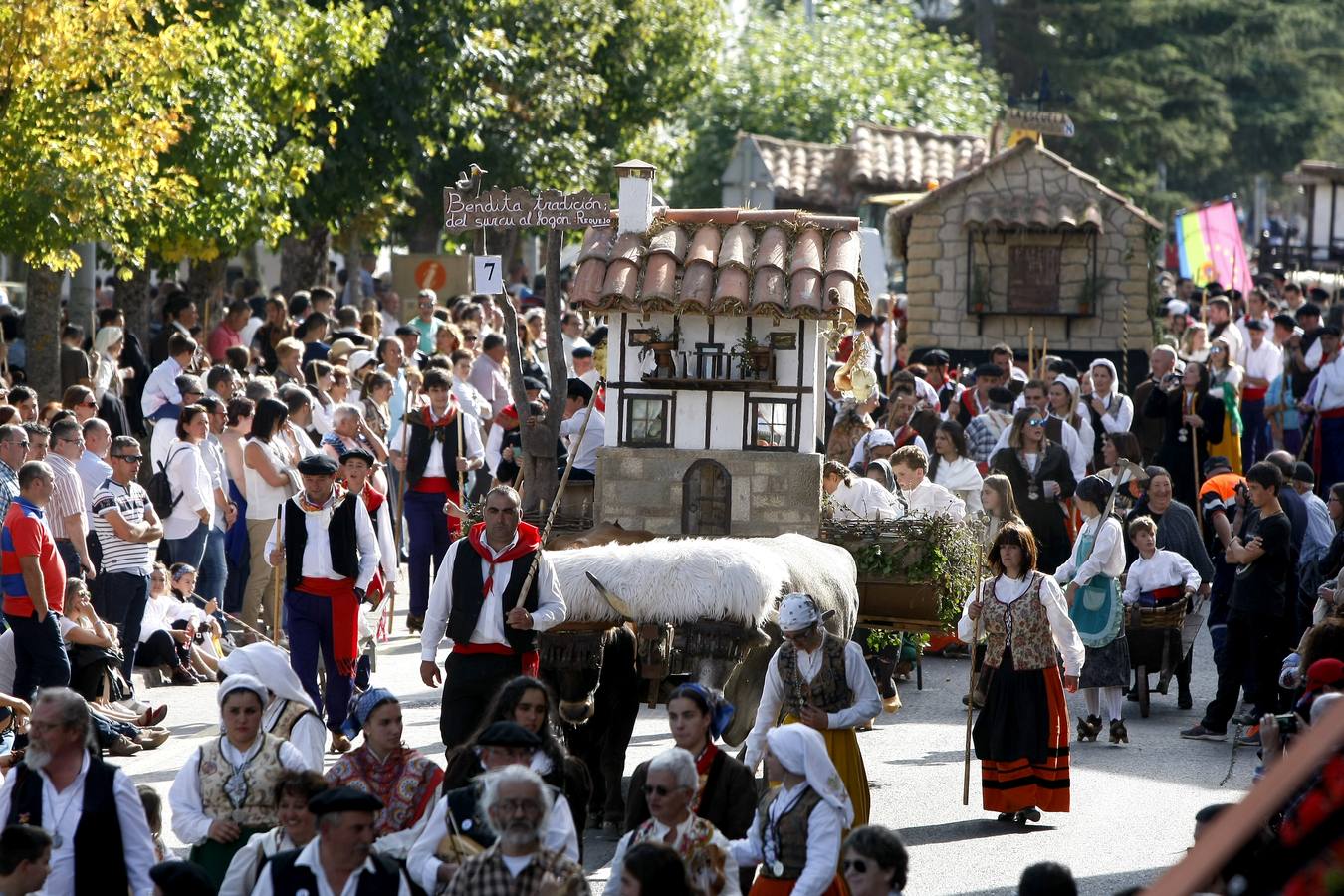 Búscate en las fotos si estuviste en el Día de Campoo