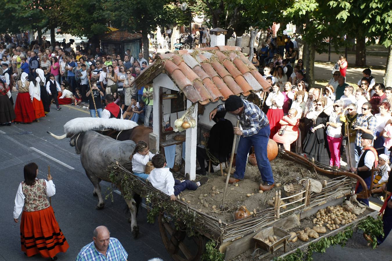 Búscate en las fotos si estuviste en el Día de Campoo
