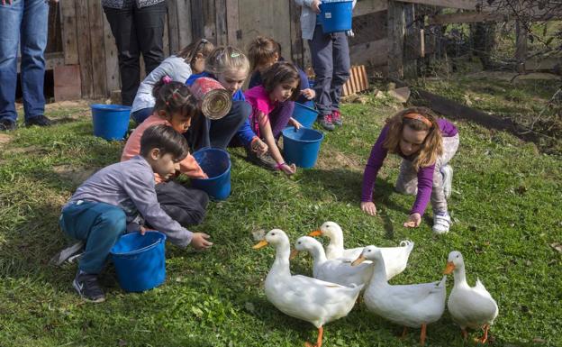 La granja, una escuela diferente