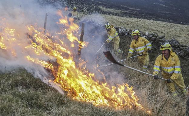 Las autoridades no logran dar con los autores de incendios forestales.