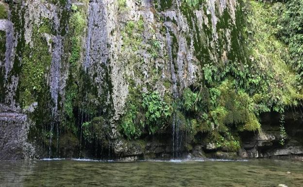 Imagen principal - Al final de la ruta, los senderista encontrarán la cascada.