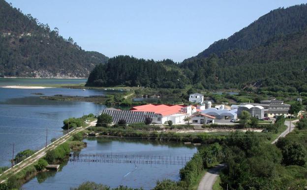 El Gobierno destina medio millón de euros para ampliar la piscifactoría de Tina Menor