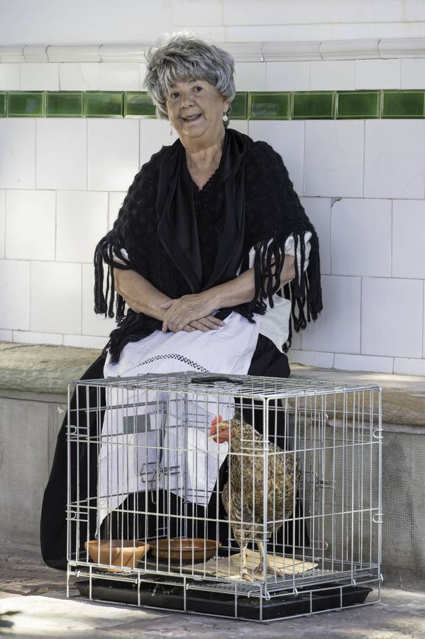 De paseo con el Marqués de Valdecilla