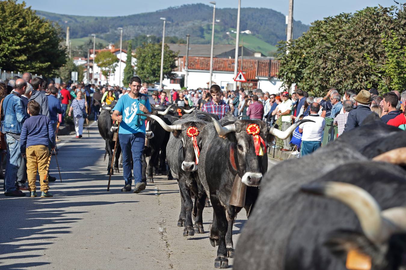 Olimpiada del Tudanco en Cabezón de la Sal