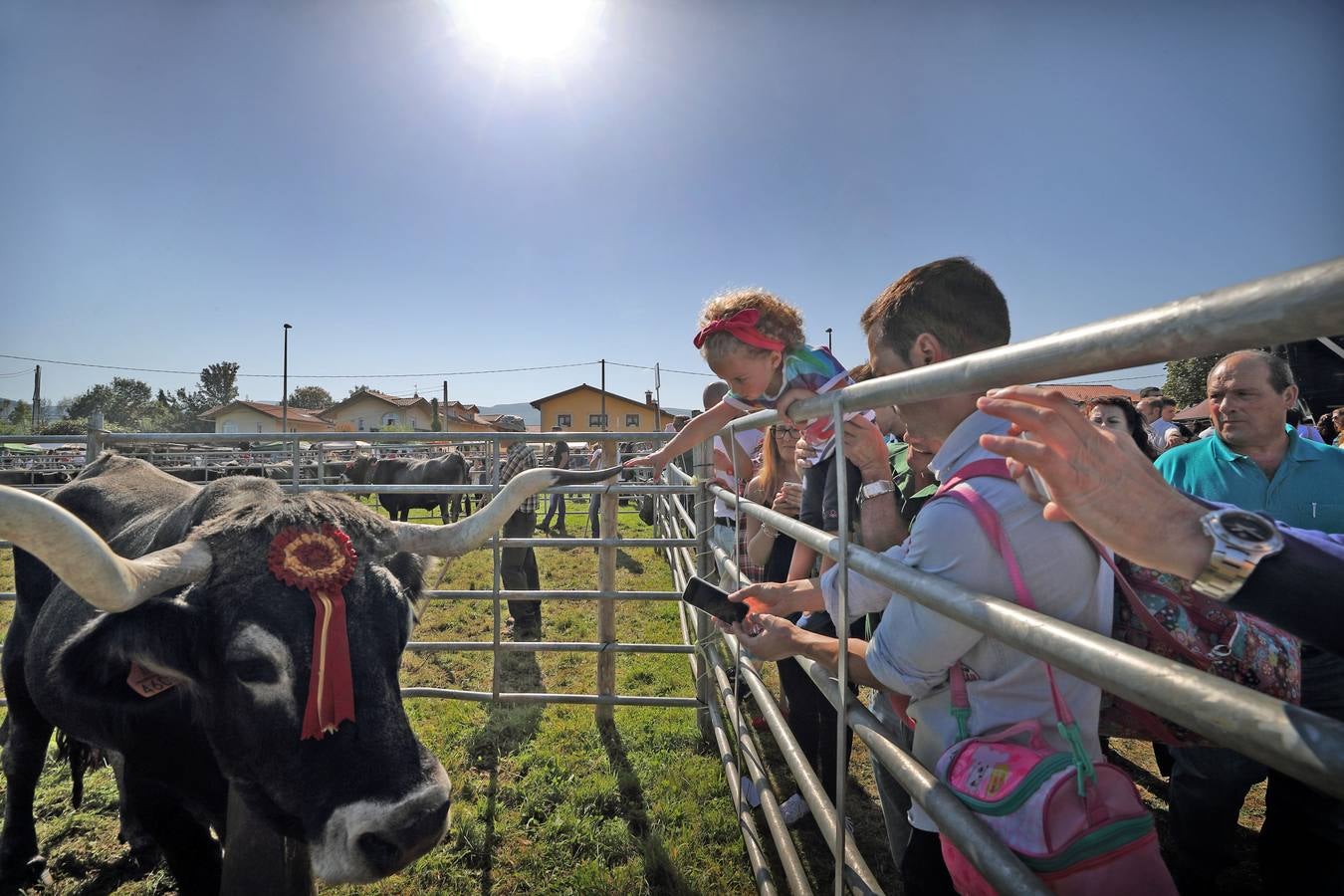 Olimpiada del Tudanco en Cabezón de la Sal