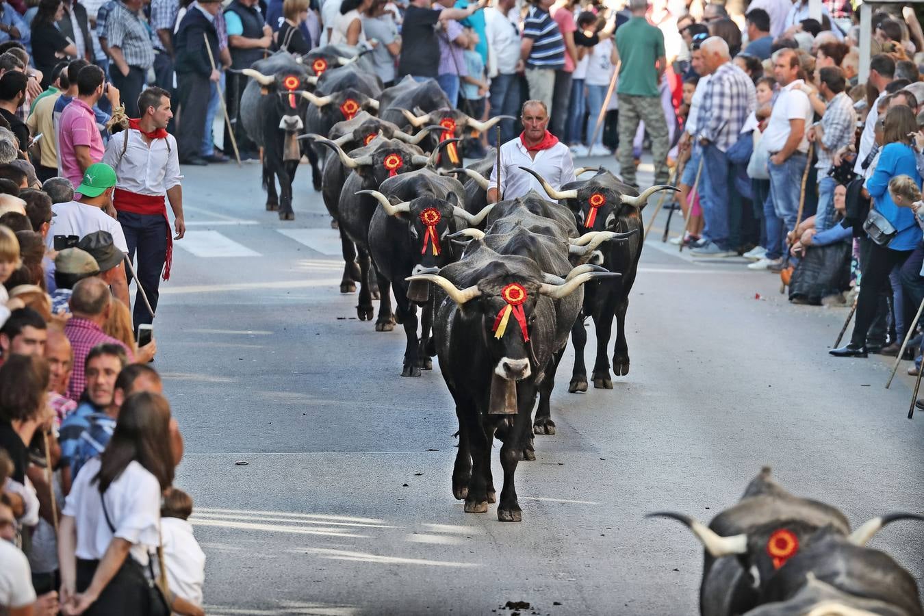 Olimpiada del Tudanco en Cabezón de la Sal