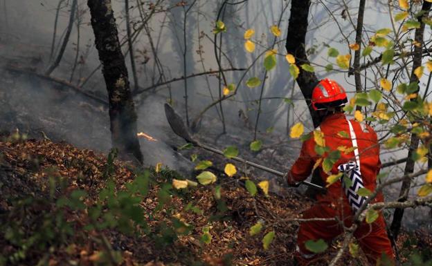 Un bombero participa en las labores de extinción del incendio declarado en la Reserva de la Biosfera de Muniellos.