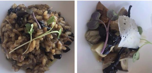 Arroz de conejo de monte y trompeta negra y ensalada de hongos infusionados.