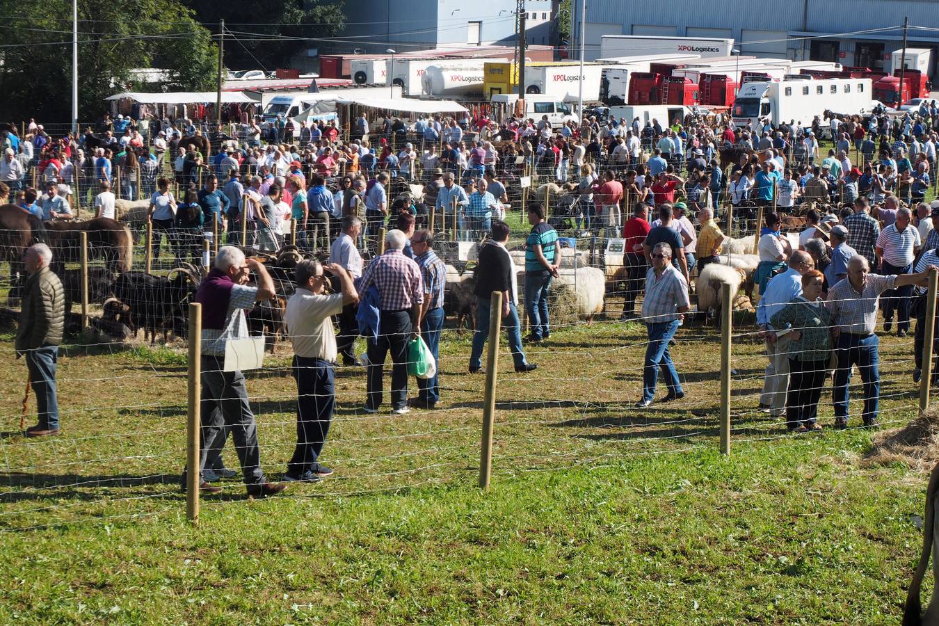 Más de 1.000 personas acuden a la tradicional cita ganadera y comercial que se celebra en Hoznayo