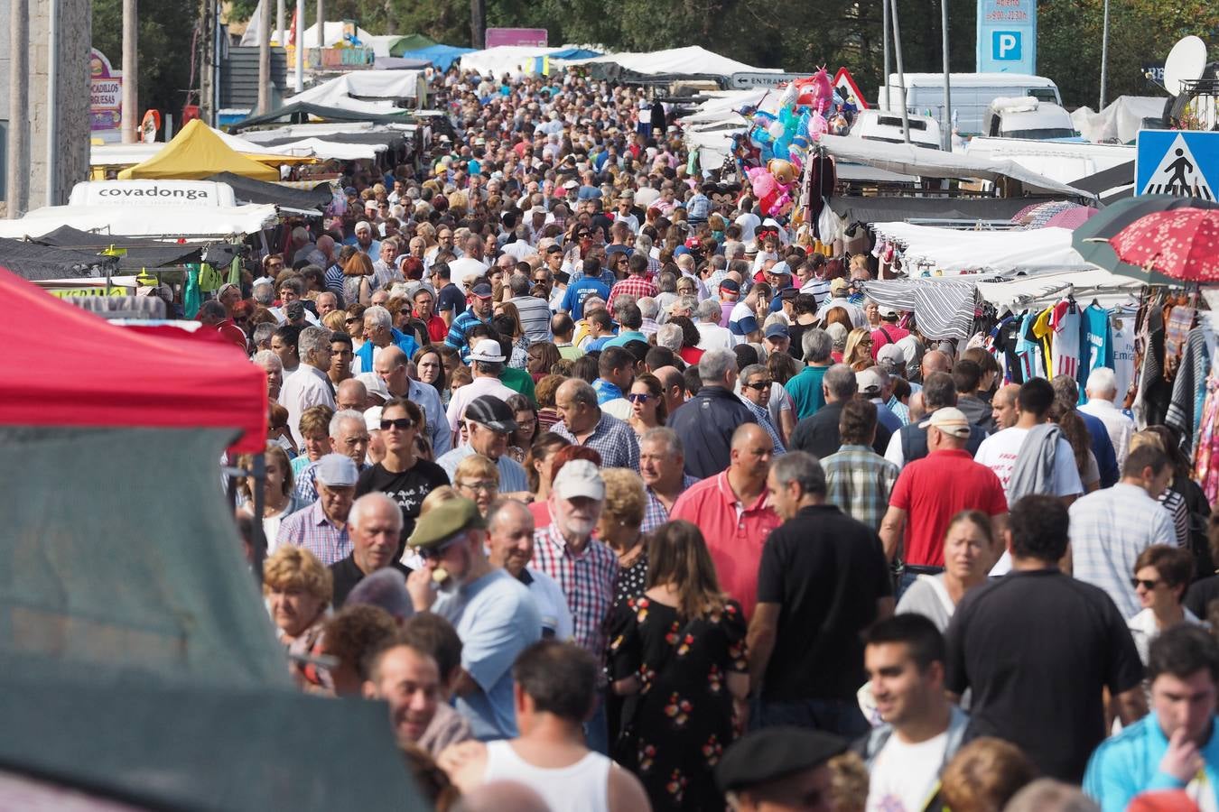 Más de 1.000 personas acuden a la tradicional cita ganadera y comercial que se celebra en Hoznayo