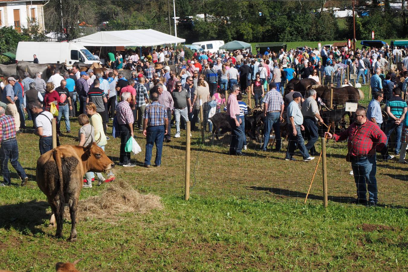 Más de 1.000 personas acuden a la tradicional cita ganadera y comercial que se celebra en Hoznayo