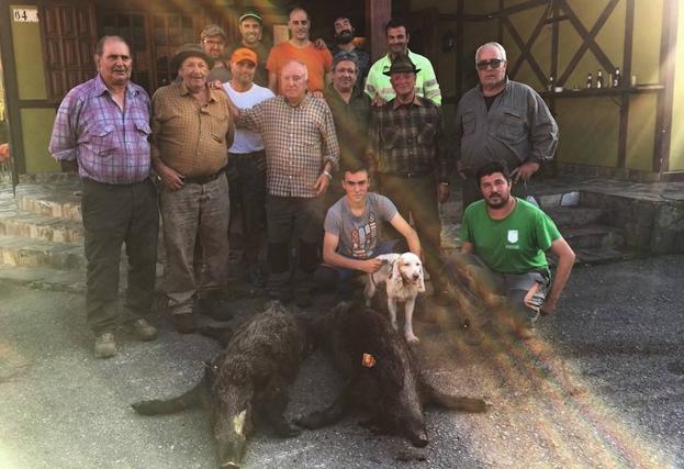 Miembros de la cuadrilla 23, de Romanín Varela, con dos jabalíes abatidos en el monte de Coo. 