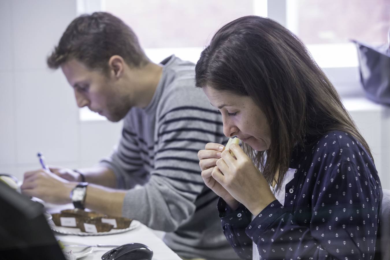 Cata para elegir los mejores quesos de España, en el Laboratorio Agroalimentario de Santander