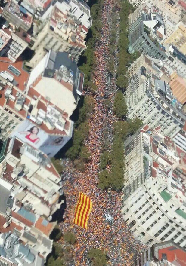 Imagen aérea de la manifestación