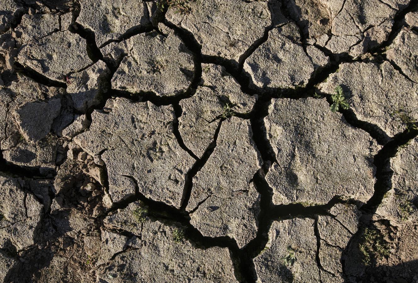 Imágenes de un paisaje desolador