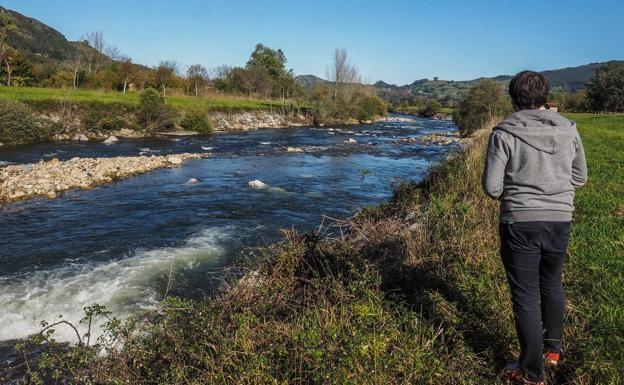 Martes 7 de noviembre. Río Pas, entre Corvera y las piscinas de Ontaneda.