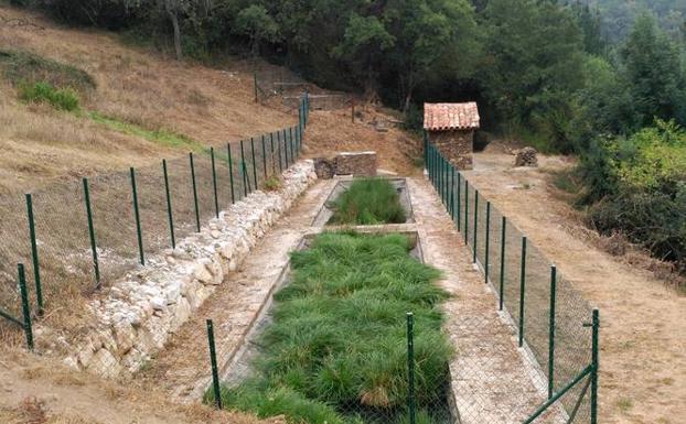 Cantabria prueba con éxito las depuradoras a base de plantas