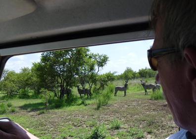 Imagen secundaria 1 - Al llegar la estación seca, dos millones de herbívoros migran desde el valle del Serengueti (Tanzania) hacia el norte en busca de pastos frescos. En la foto de arriba, ñus cruzan la carretera en la reserva de Masai Mara (Kenia). Debajo,d os víctimas. Ella, Sabine Goossens y él Wim van Griensven.