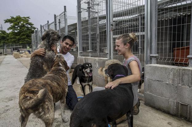 Dos voluntarios abrazan a varios perros en un centro canino