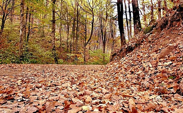 La jornadas terminarán con una ruta por el Monte Hijedo