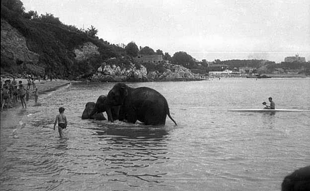 Imagen principal - Arriba, el baño de los elefantes de un circo, probablemente el Circo Atlas, en la playa de los Peligros, 1965-1970. Debajo, a la izquierda, imagen de la Coronación Canónica de la Virgen Bien Aparecida en Santander, a su paso por la Casa Salud Valdecilla, 28 de mayo de 1955. Y a su derecha, la plaza del Generalísimo (actual Plaza del Ayuntamiento), 1973. 