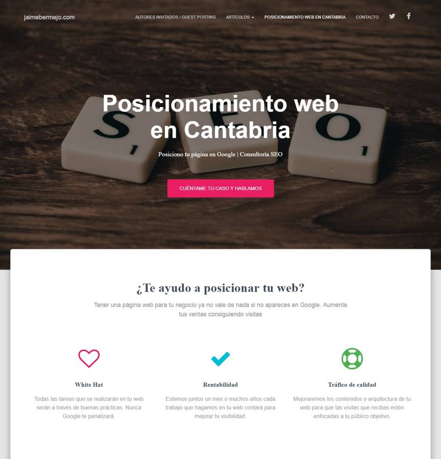 WEB PROFESIONAL