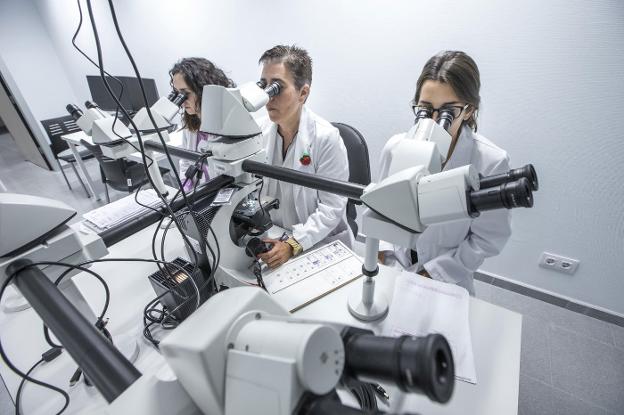 Tres investigadoras trabajan en el servicio de Anatomía Patológica del Hospital Valdecilla . 