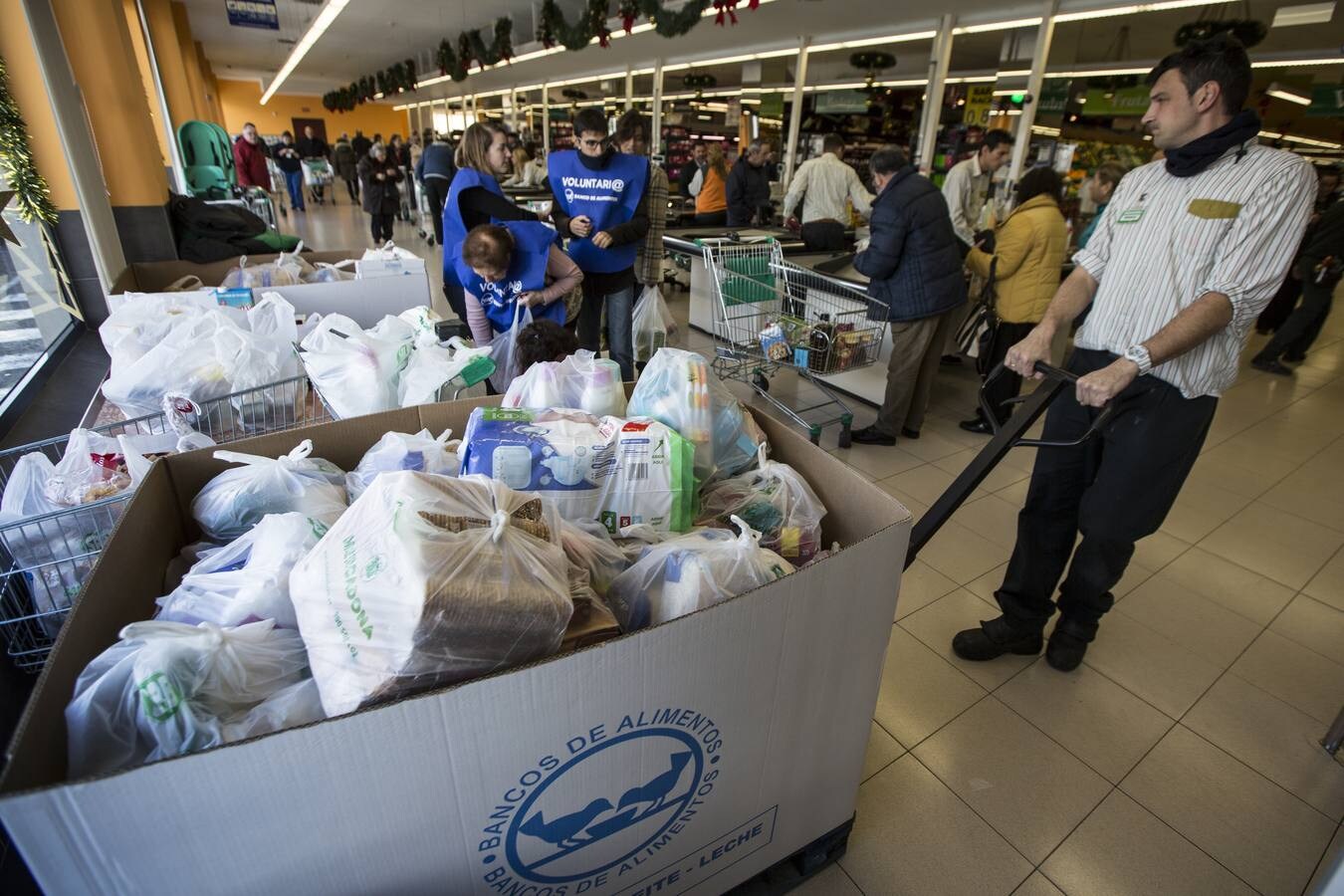 Arrancó la gran recogida del Banco de Alimentos