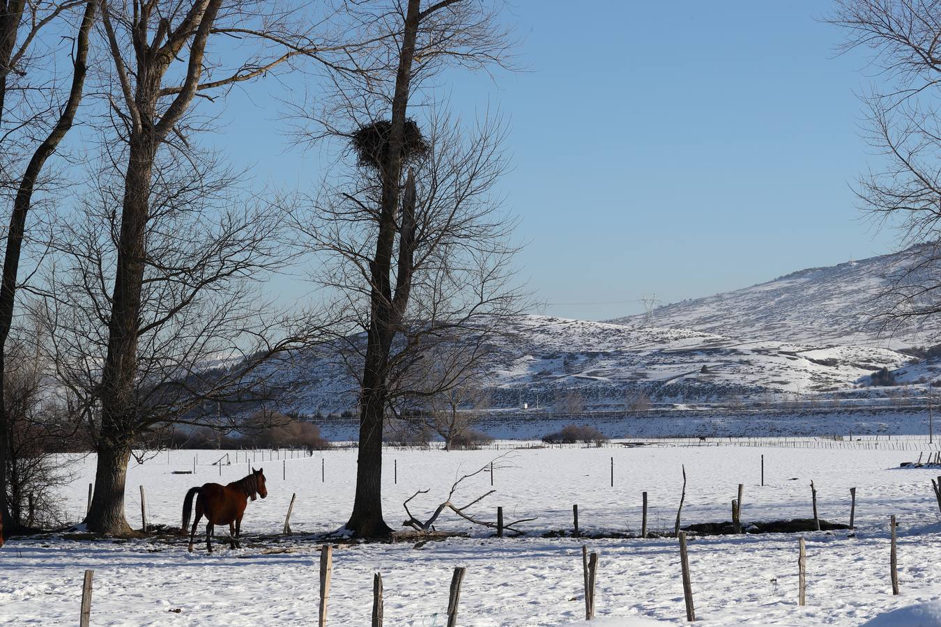 Campoo a vista de pájaro