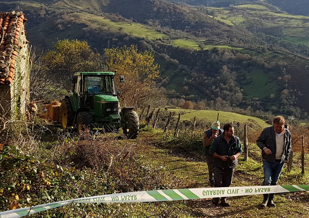 Aparecen muertos 11 terneros del ganadero de Bielva que perdió 23 tudancas en un incendio