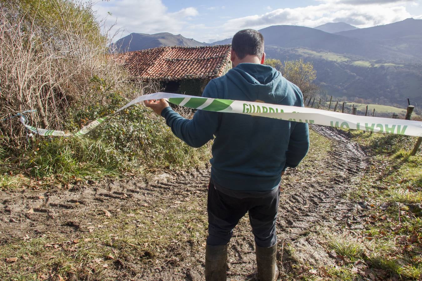 Las incógnitas de las reses sacrificadas en Bielva