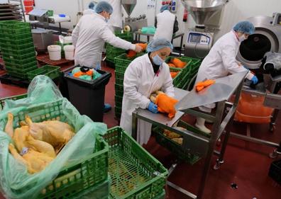 Imagen secundaria 1 - Arriba, Alfonso Jiménez, presidente de Cascajares, con uno de sus capones de cría. Abajo, varios trabajadores preparan los capones. Y Gabriel, probador oficial de los productos. 