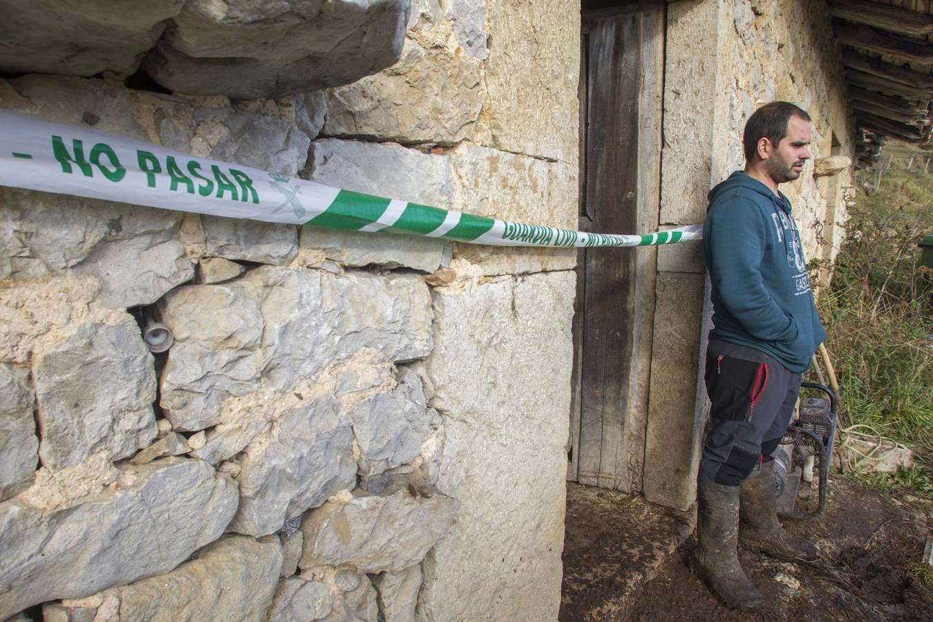 Las incógnitas de las reses asesinadas en Bielva