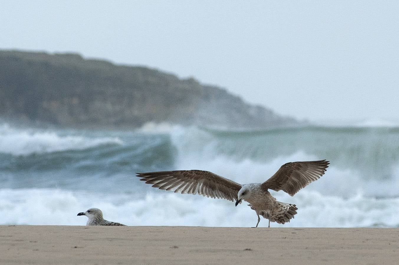 La borrasca 'Bruno' ha llegado esta noche a Cantabria con vientos de más de 100 km/hora y olas que han superado los 10 metros.