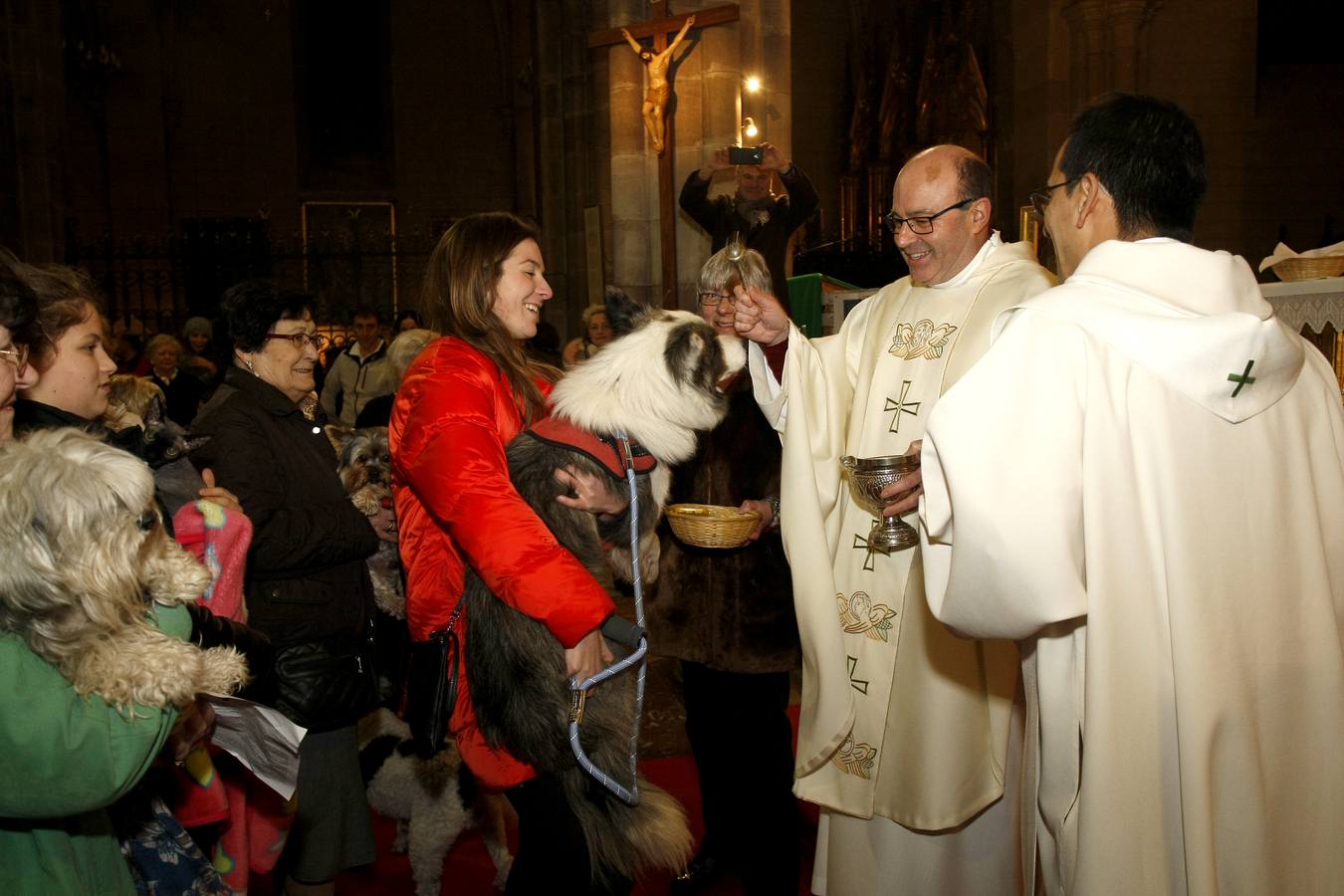 La bendición para las mascotas de Torrelavega el día de San Antón