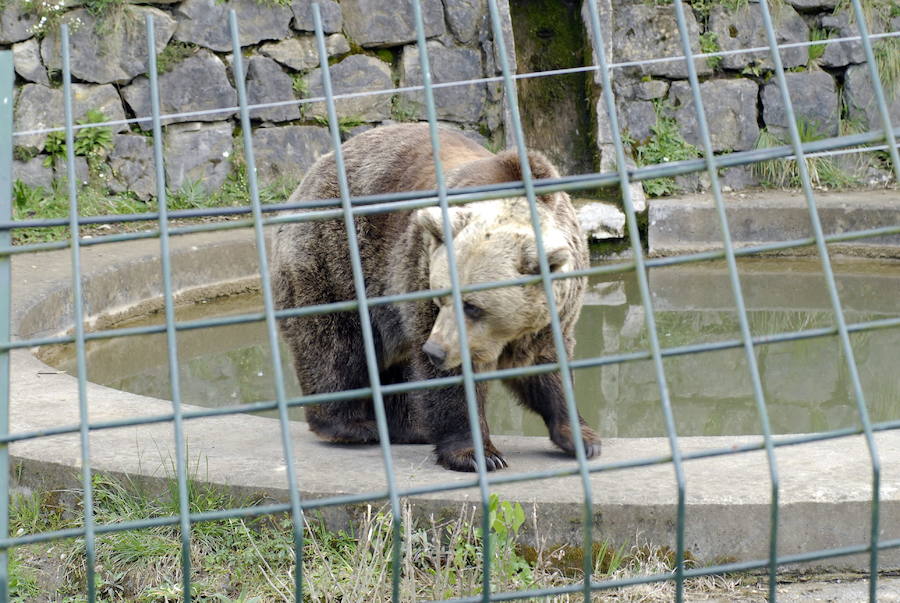 La vida de &#039;Tola&#039; y &#039;Paca&#039; en imágenes