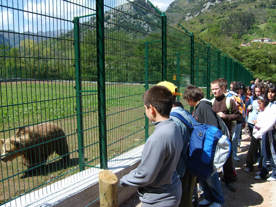 La vida de &#039;Tola&#039; y &#039;Paca&#039; en imágenes