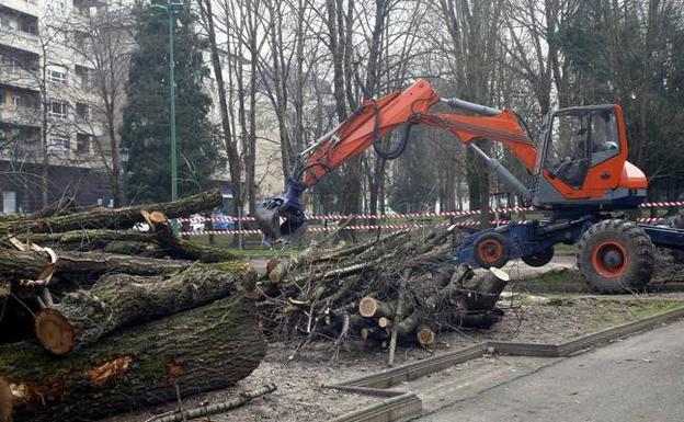 Los restos de árboles y ramas caídos tras la tala se acumulaban ayer en la zona del parque infantil 