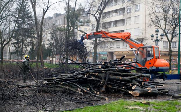 Los restos de la tala fueron retirados de la zona.