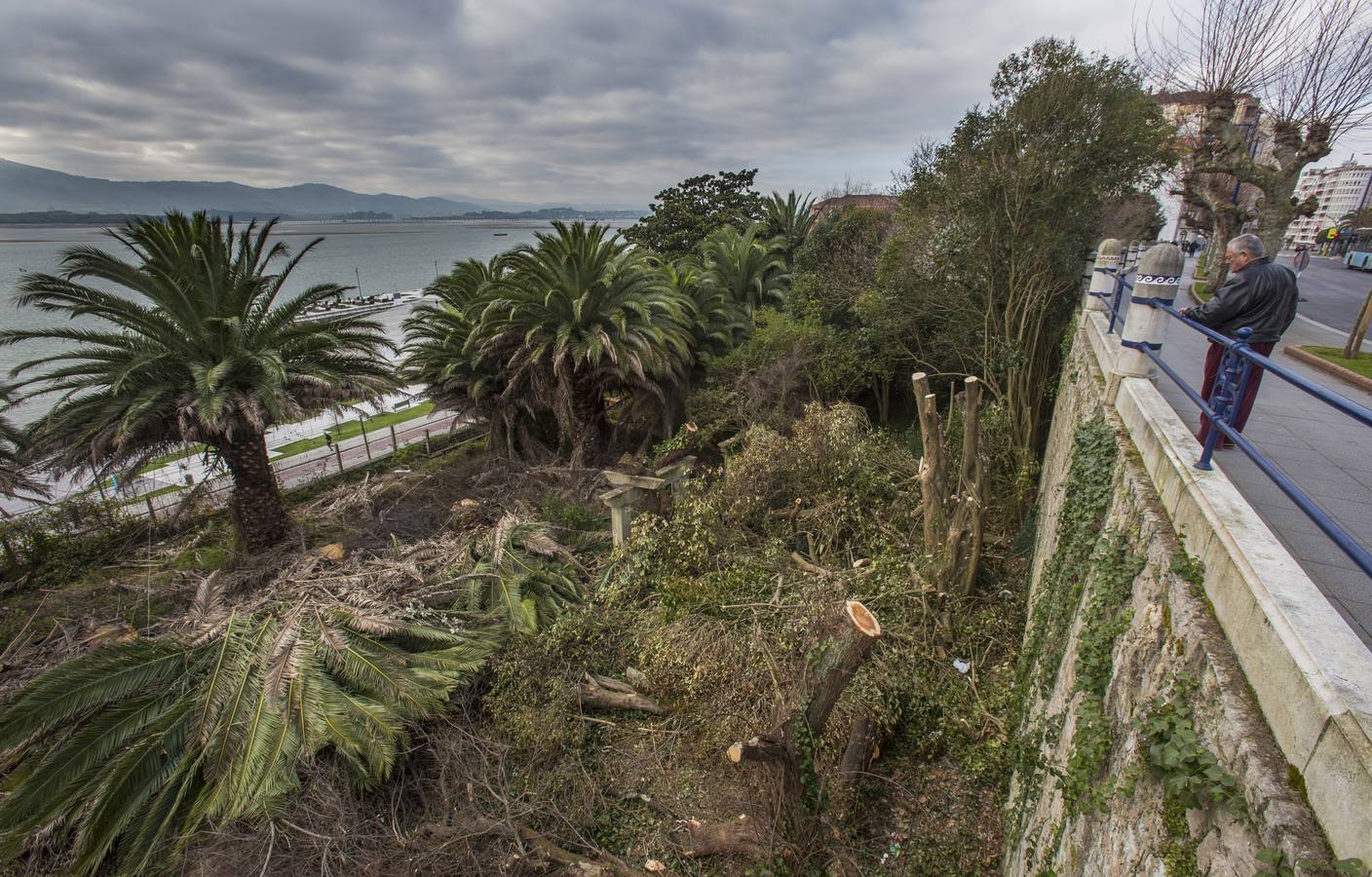 El Ayuntamiento ha abierto expediente a los propietarios de la finca número 28 de Reina Victoria en la que se ha realizado una importante tala de árboles.