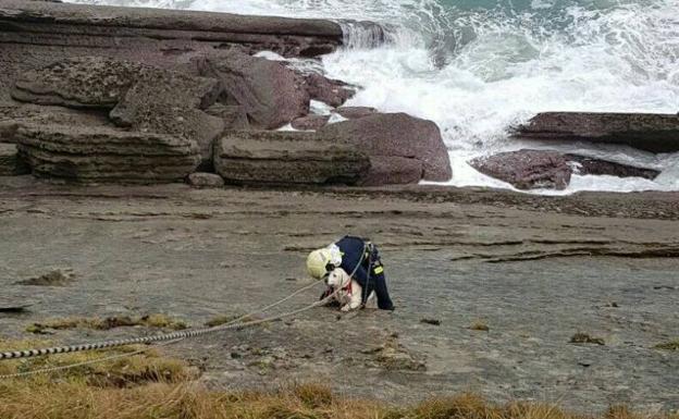 Nala cayó por el acantilado del cabo de Mataleñas.